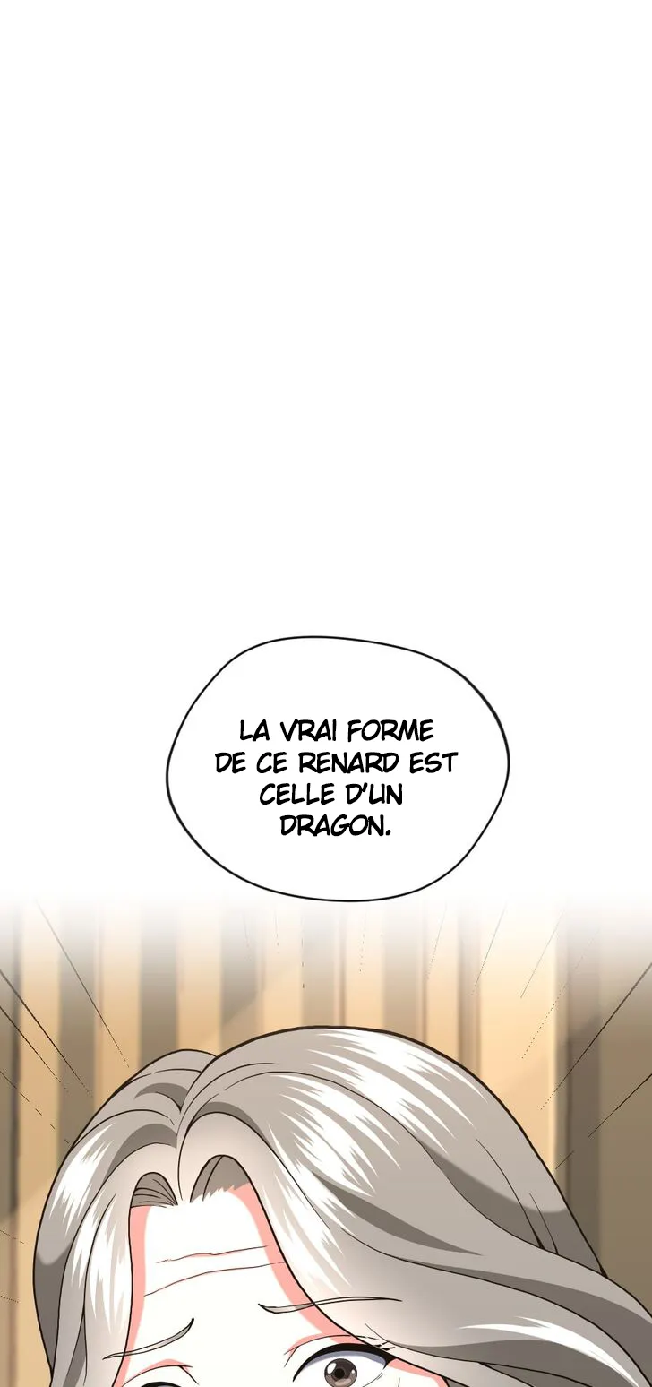 Chapitre 96