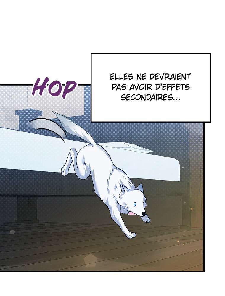 Chapitre 20