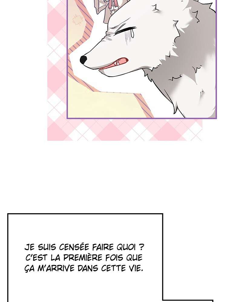 Chapitre 20