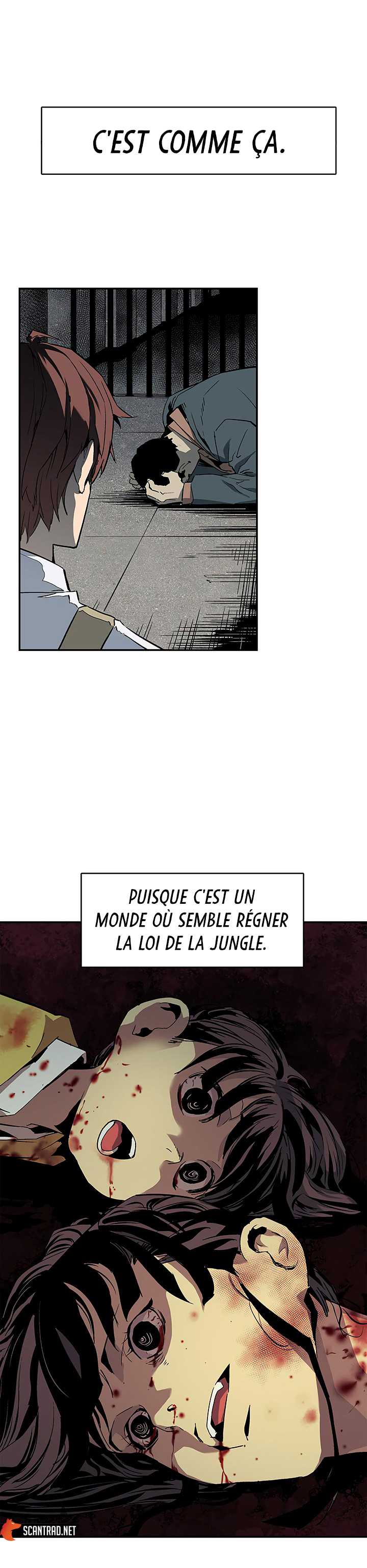 Chapitre 17