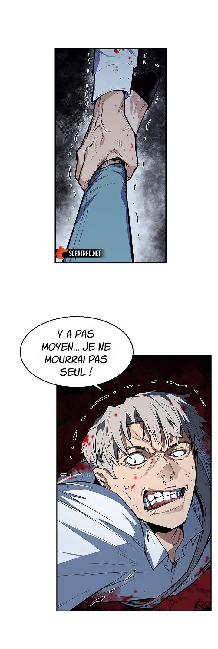 Chapitre 28