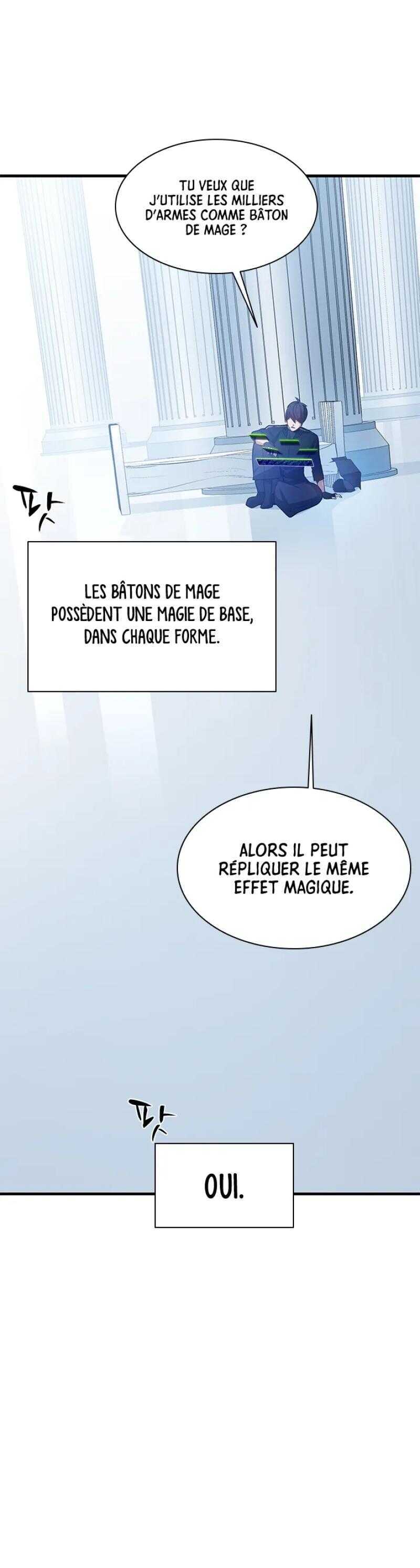 Chapitre 133