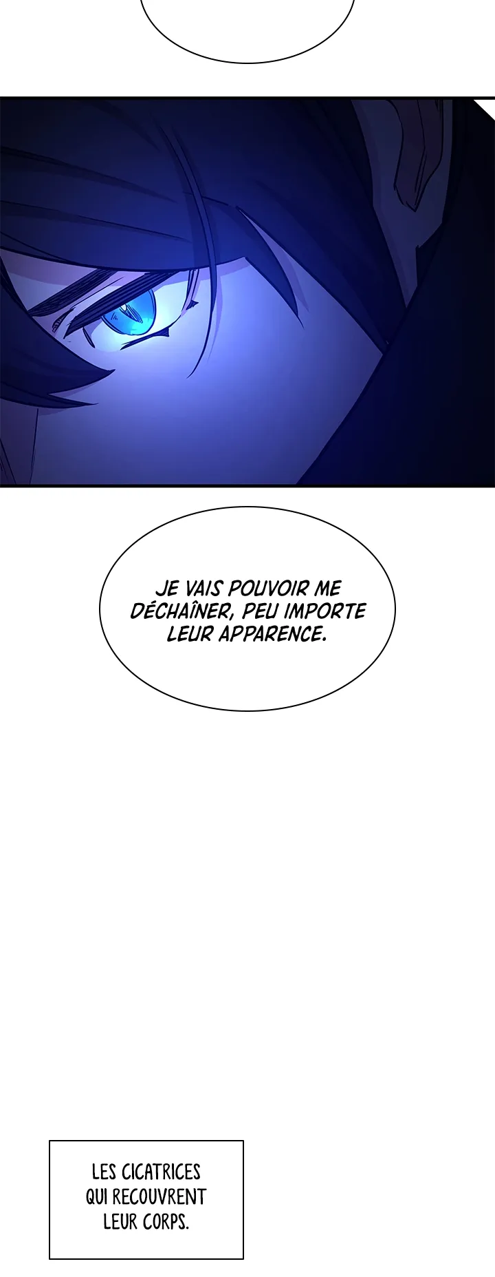 Chapitre 154