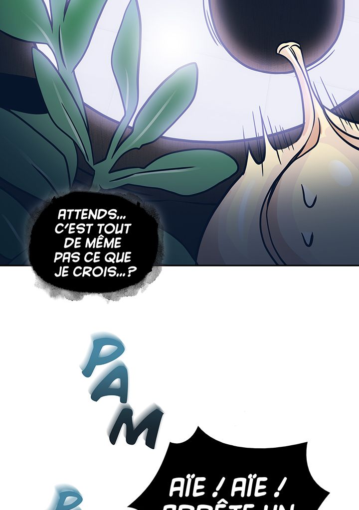 Chapitre 167