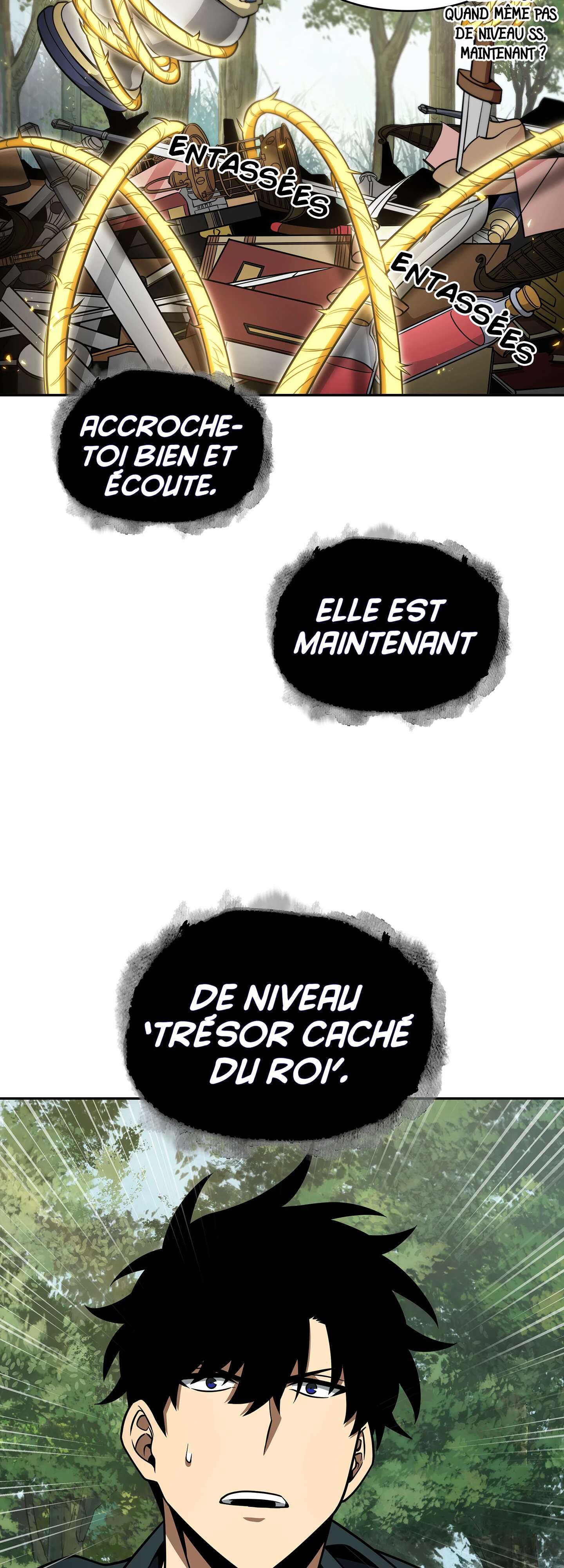 Chapitre 306