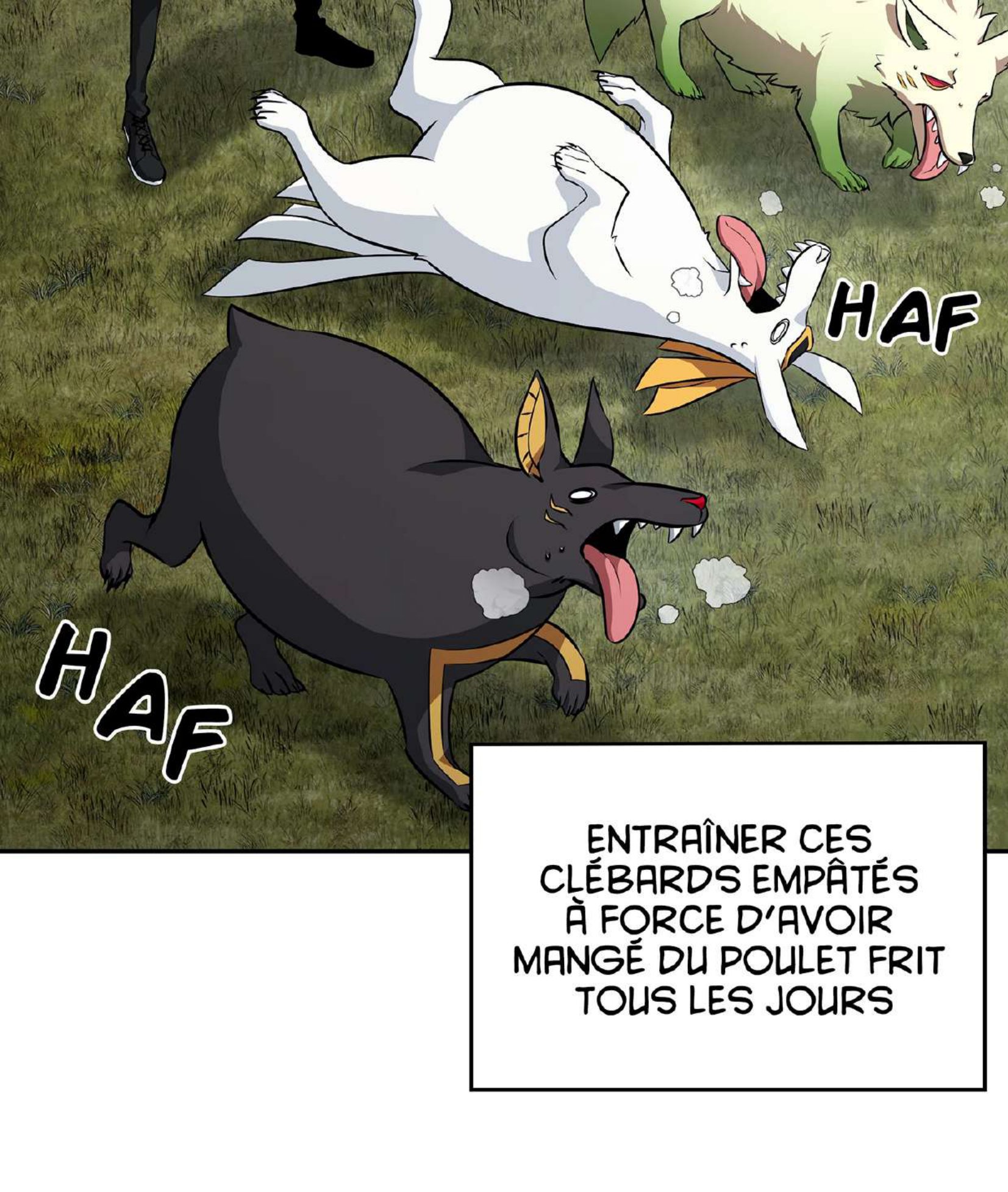 Chapitre 396